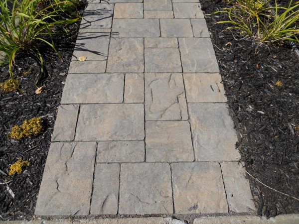 Cost of Stamped Concrete Staining in Camarillo