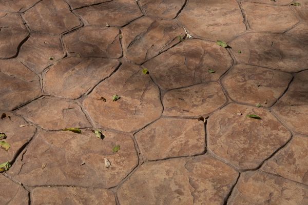 Cost of Concrete Texturing in Camarillo